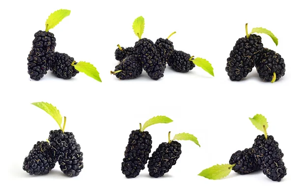 Coleção amoreira frutas isolar em baackground branco — Fotografia de Stock