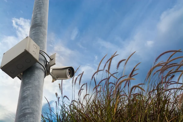 Closed circuit television (CCTV) equipment for protect thief ste — Φωτογραφία Αρχείου