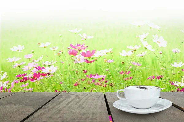 Coffee time and Field of cosmos flower with green background — Zdjęcie stockowe