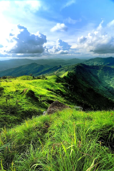 Scenery mountain and amazing meadow in rainy season