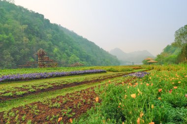 Güzel manzara manzara DOI Angkhang Tayland at
