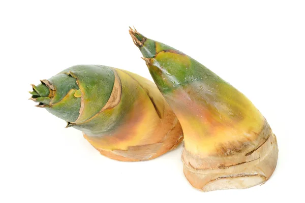 Bamboo shoots — Stock Photo, Image