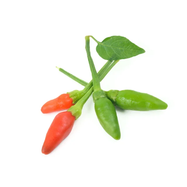 Čerstvá zelenina (ptačí oko Chilli Pepper) izolovat zadní bílý — Stock fotografie