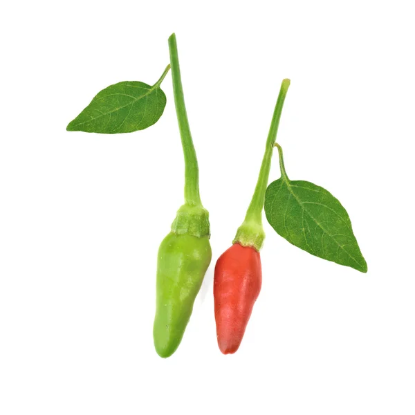 Vegetales frescos (Bird 's Eye Chilli Pepper) aislados en blanco —  Fotos de Stock