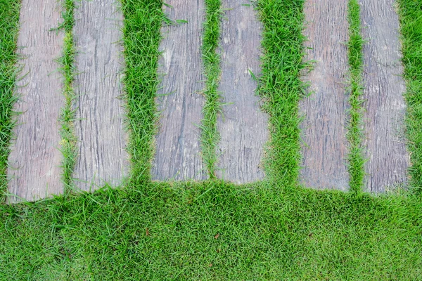 Бетонная тропинка похожа на древесину на зеленом дворе — стоковое фото