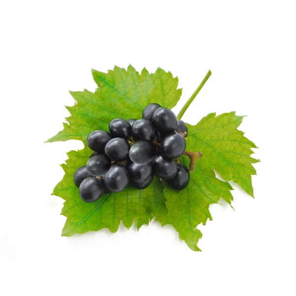Black grapes and leaf isolated on white background (Fruit) — Stock Photo, Image