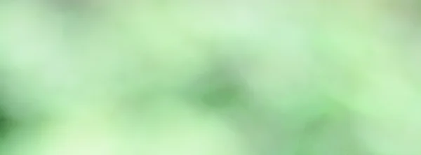 Зеленые листья цвета размытия фона для обложки facebook — стоковое фото