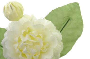 Yapay Yasemin çiçekleri beyaz izole