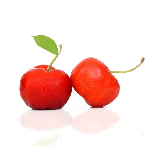 Batı Hint kiraz yaprağı ile izole beyaz arka plan üzerinde