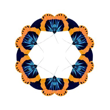 Kelebek zarar benziyor beyaz arka plan üzerinde geometrik şekiller