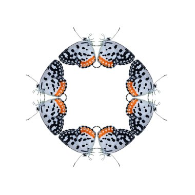 Geometrik kelebek şekli izole beyaz arka plan üzerinde