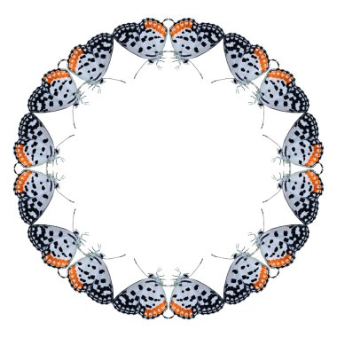 Geometrik kelebek şekli izole beyaz arka plan üzerinde