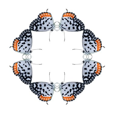 Geometrik kelebek şekli izole beyaz arka plan üzerinde