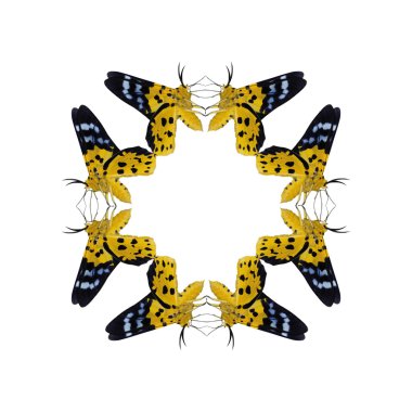 Geometrik kelebek şekli izole beyaz arka plan üzerinde