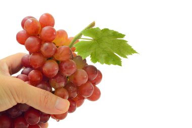 Beyaz arka plan (meyve üzerinde izole ellerinde kırmızı üzüm)