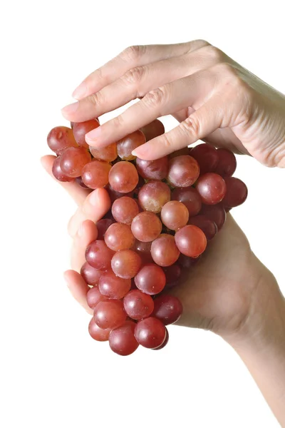 Czerwone winogrona na ręce izolować na biały backgropund — Zdjęcie stockowe