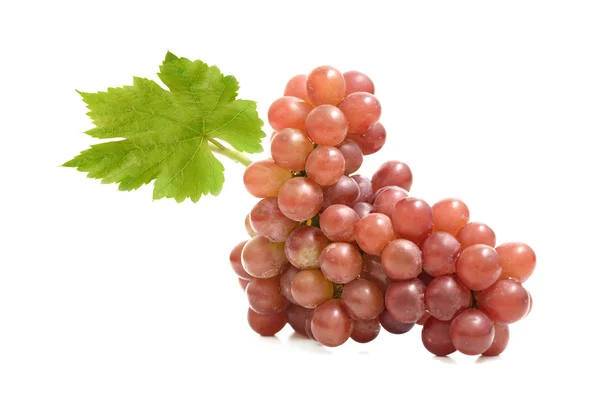 Red grape isolated on white background (Fruit) — Stock Photo, Image