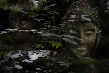 Wat U-Monk Tapınağı Chiangmai Tay toprağa Buda baş koymak