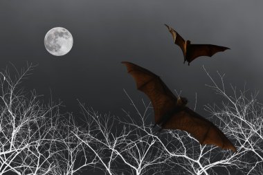 Yarasa siluetleri ile dolunay - Cadılar Festivali