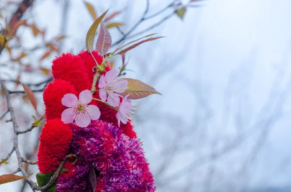 Beautiful hand and flower love theme in winter season — Stock Photo, Image