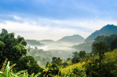 Güzel manzara manzara dağ tepe sabah zamanında