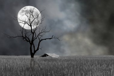 Süper ay ve gece Cadılar Bayramı Festivali kulübede ile çorak ağacı