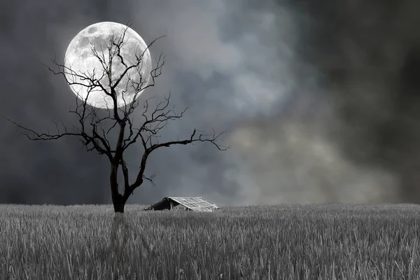 Super lua e árvore estéril com cabana à noite- Festival de Halloween — Fotografia de Stock
