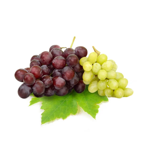 Green grape and Red grape isolated on white background (Fruit) Stock Image