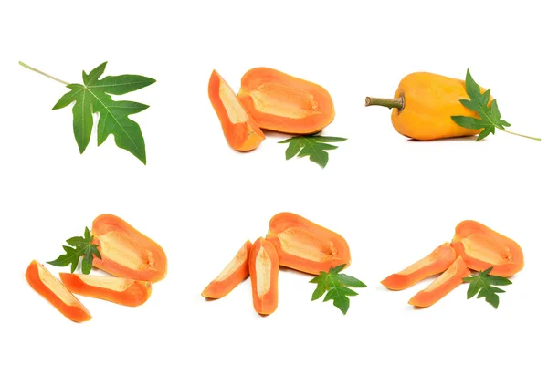 Collection of Papaya fruit genetic manipulation isolated on a wh — Stock Photo, Image