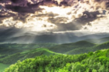 Ormanın arka plan bulanıklık