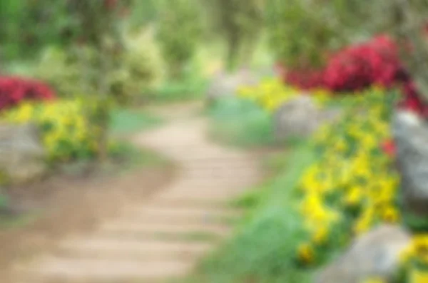 Sfondo sfocato e sentiero nel giardino del parco — Foto Stock