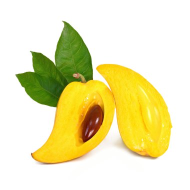 Beyaz arka planda, taze Pouteria campechiana tro sarı meyve