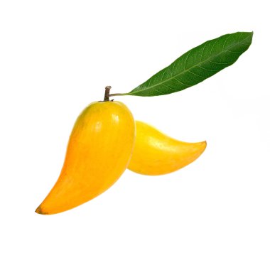 Beyaz arka planda, taze Pouteria campechiana tro sarı meyve