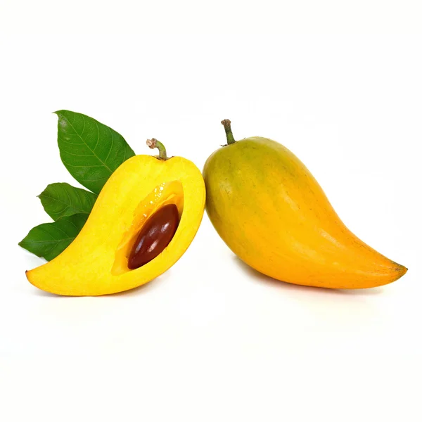 Geel fruit op witte achtergrond, verse Pouteria campechiana tro — Stockfoto
