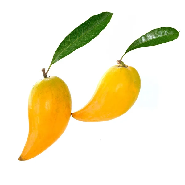 Žluté plody na bílém pozadí, čerstvé Pouteria campechiana tro — Stock fotografie