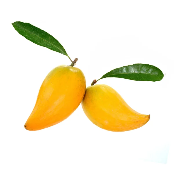 Yellow fruit on white background, Fresh Pouteria campechiana tro — Stock Photo, Image