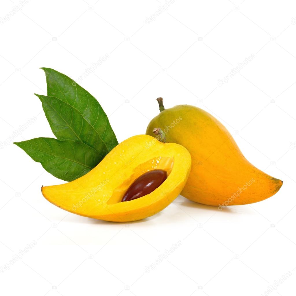 Yellow fruit on white background, Fresh Pouteria campechiana tro