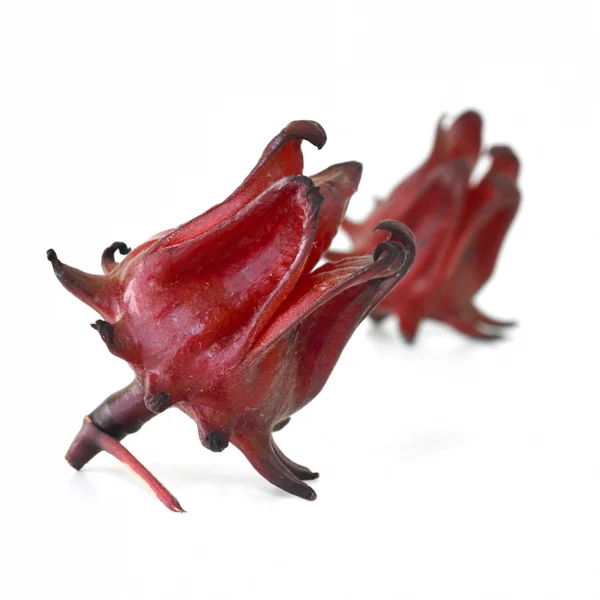 Hibiscus sabdariffa o frutos rosados aislados sobre fondo blanco — Foto de Stock