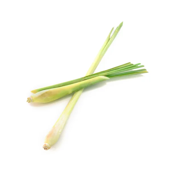 Fresh Lemongrass isolated on white background — Stock Photo, Image