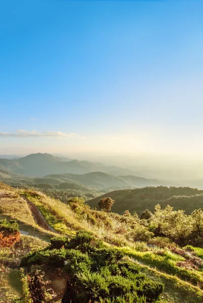 Sentier de trekking depuis Doi inthanon view, Chiangmai, Thaïlande — Photo