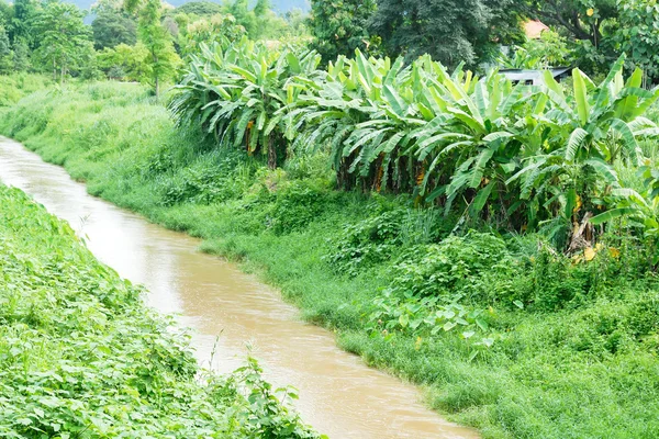 Водный канал для сельскохозяйственных угодий — стоковое фото