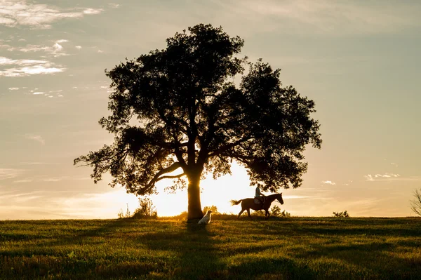 Reiter und schöne Aussicht im Sonnenuntergang — Stockfoto