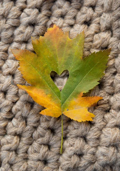 Ahornblatt, um das Herz am Baum zu schneiden. Liebesblatt zum Valentinstag. — Stockfoto