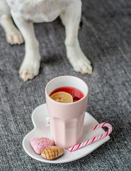 Hund wartet auf Weihnachtsmann mit Milch und Keksen — Stockfoto