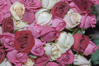 Güzel çiçeklerin arkaplanı. Kapat.. 