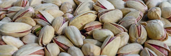 Background make from salt pistachios (into nutshells). Close up. Whole background. Panorama.