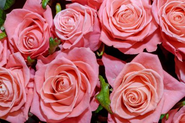 Güzel çiçeklerin arkaplanı. Kapat.. 