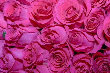 Güzel çiçeklerin arkaplanı. Kapat.. 