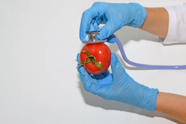 Ellerinde steteskopla incelenen bir domates var. Ekoloji sorunu kavramı ve gübre uygulaması. Kapat..