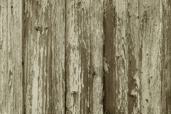 Stara Drewniana Faktura Tło Naturalny Wzór Projektowania Zamknij Drzwi Przestrzeń — Zdjęcie stockowe